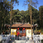 羰